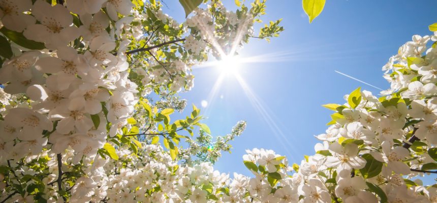 Martedì 9 maggio | Festa di Primavera